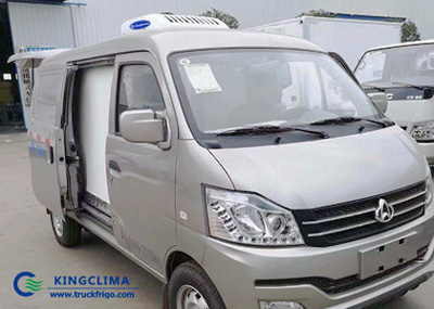 V-300 Van Refrigeration Unit Export to Italy for Converting a Frigo Van - KingClima